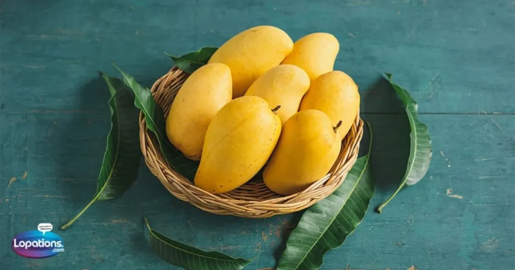 Mango Lines in English