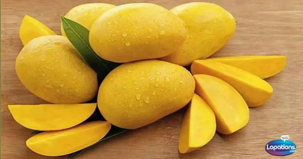 Short Caption for Mango