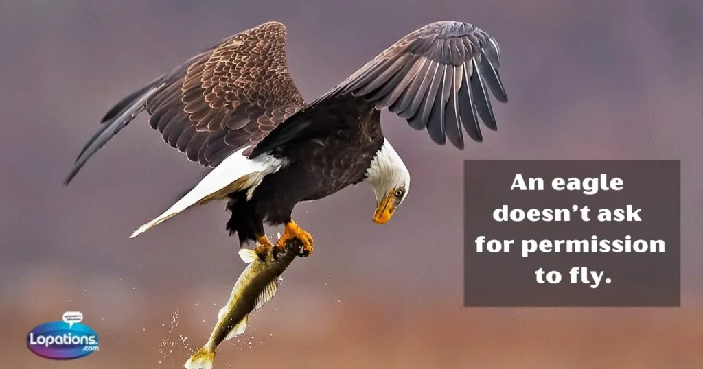 Eagles captions for girl