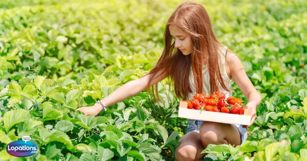 Farm Girl Captions For Instagram
