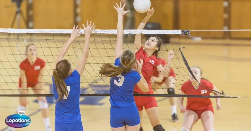 Short Captions for Volleyball Players 