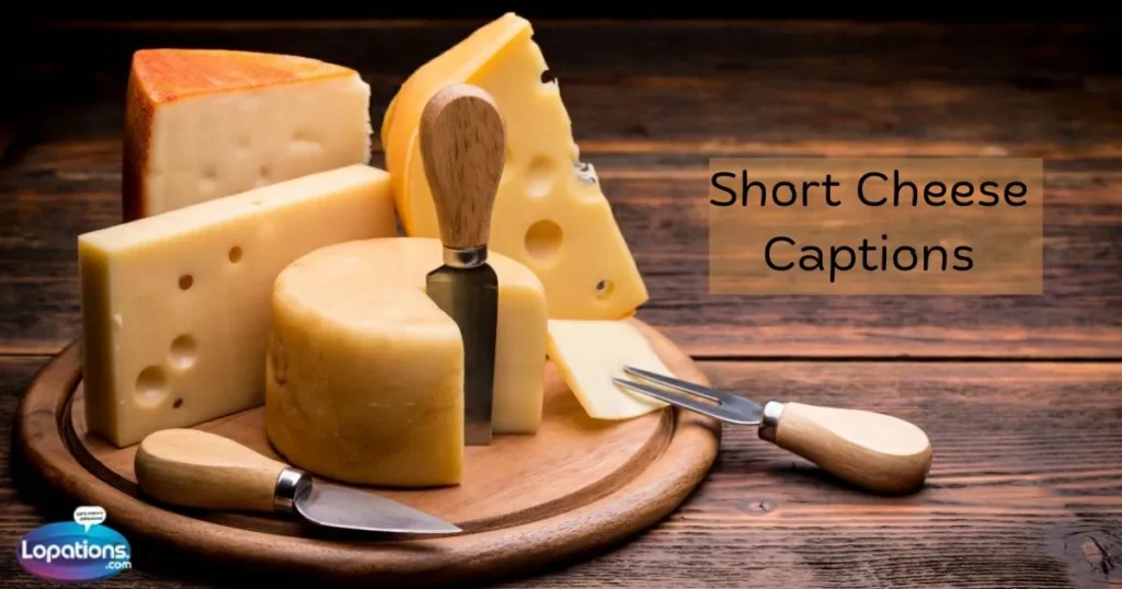 Short Cheese Captions 