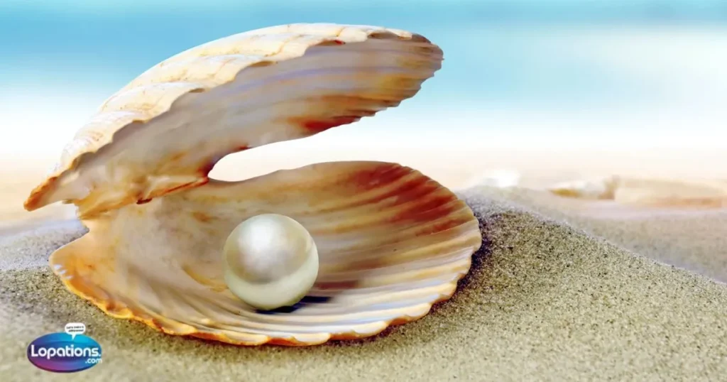 Short Oyster Captions