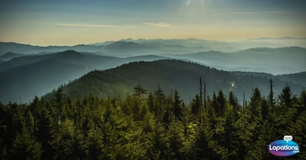 Smoky Mountain Puns