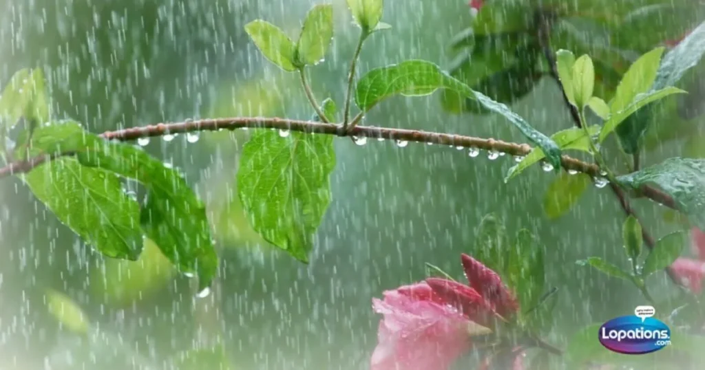 Spring Rain Captions