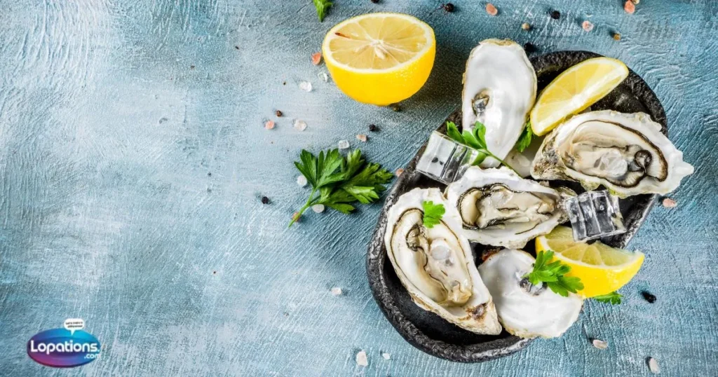 Top Oyster Captions 