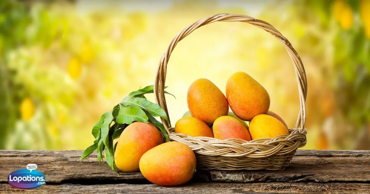 Mango Season Captions