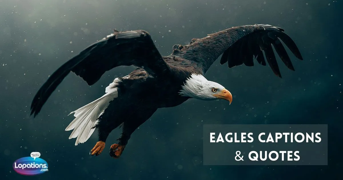 305+ Eagles Captions & Quotes for Instagram 🦅(2025)