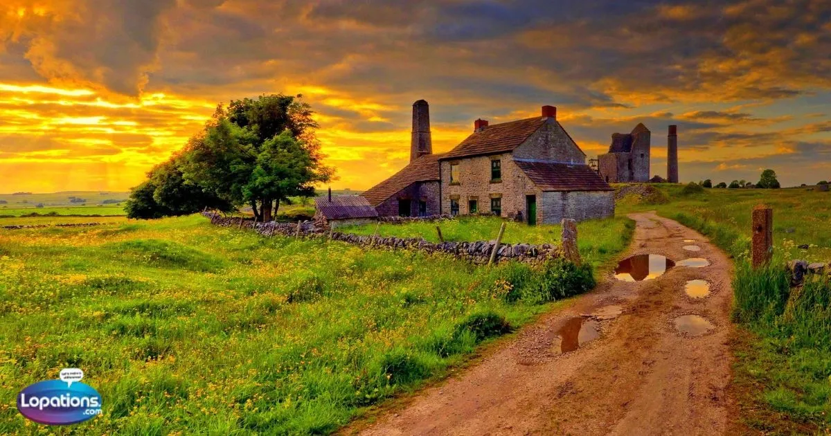 335+Best Farm Captions for Rustic & Country Vibes