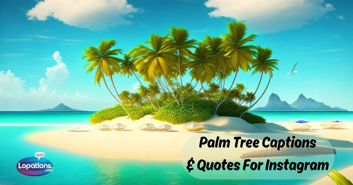 Palm Tree Captions