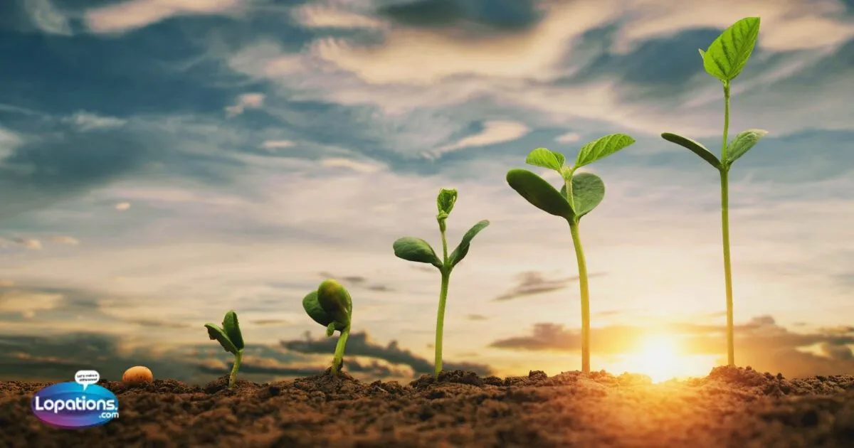 345+ Plant captions for Instagram (2025)