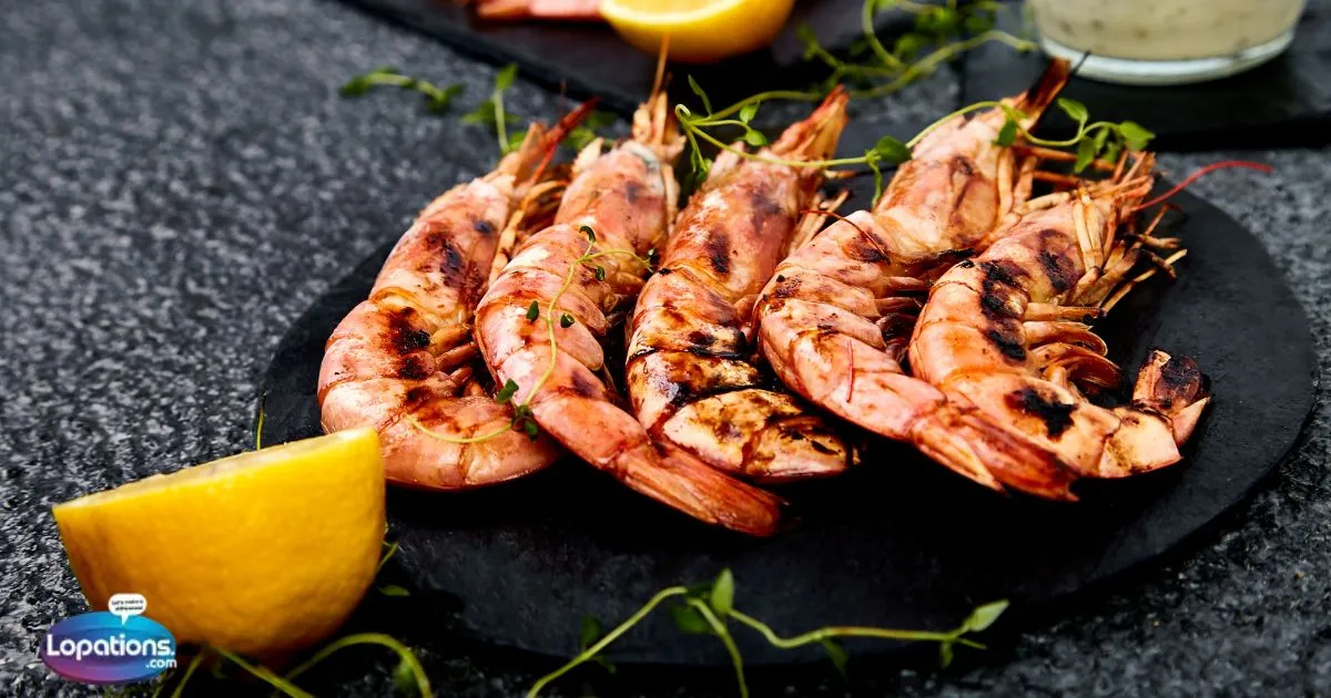 315+ Prawns Captions & Quotes for Instagram (2025)
